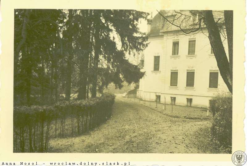 Aleja wśród starodrzewu parkowego — fotografia archiwalna