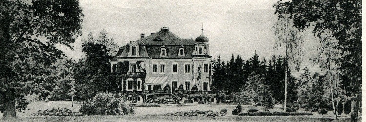 Pałac w Ligocie Strupińskiej w czasach świetności — archiwalna pocztówka z parkiem, ok. 1904 r.